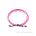 Cable de parche MPO MTP